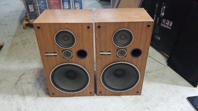 pioneer csg303